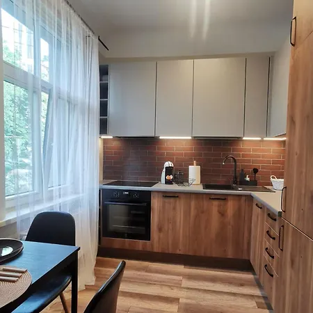 Daire Modern With Fully Equipped Kitchen, Close To Lucavsala Park, Free Parking On Street, Near Centre Riga